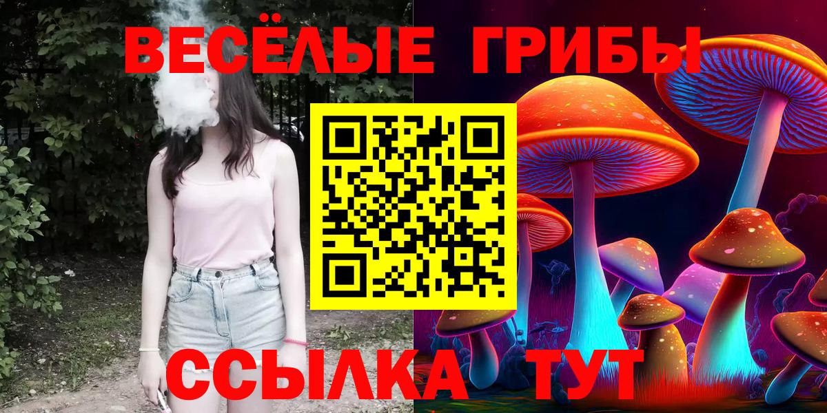 Псилоцибиновые грибы мухоморы  Вход с VPN  Малгобек 